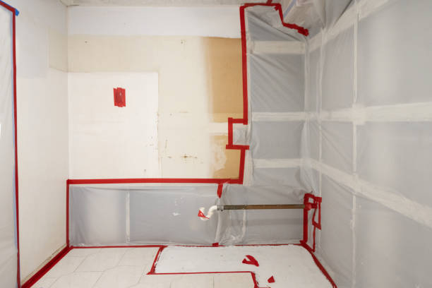 Best Air Quality Testing for Mold Spores  in Underwood Petersville, AL