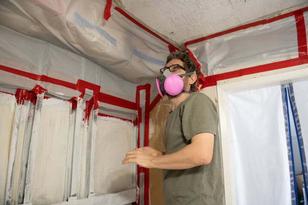 Best Emergency Mold Remediation  in Underwood Petersville, AL