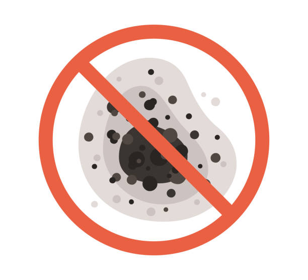Best Mold Prevention Services  in Underwood Petersville, AL