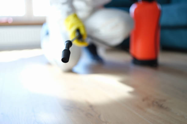 Best Residential Mold Inspection & Testing  in Underwood Petersville, AL