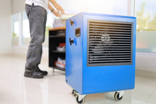 Best Mold Damage Restoration  in Underwood Petersville, AL